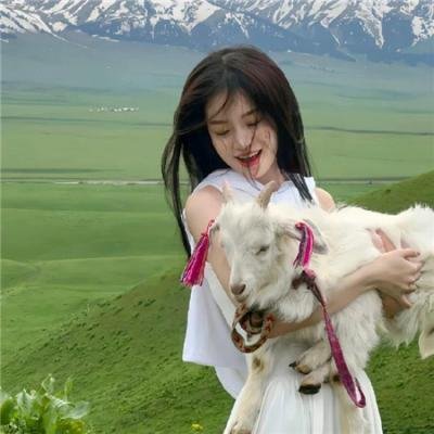 家族的故事 封面